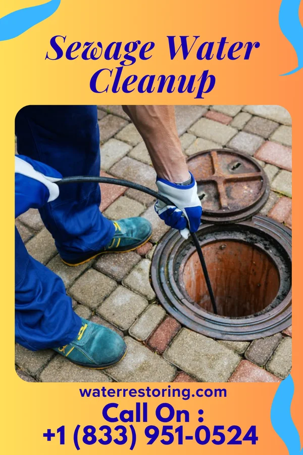 Sewage Water Cleanup in Garner, IA